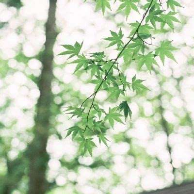 云开全站·appkaiyun