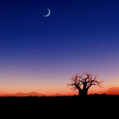 周公解梦_免费原版周公解梦大全查询 - 古途解梦官网截图