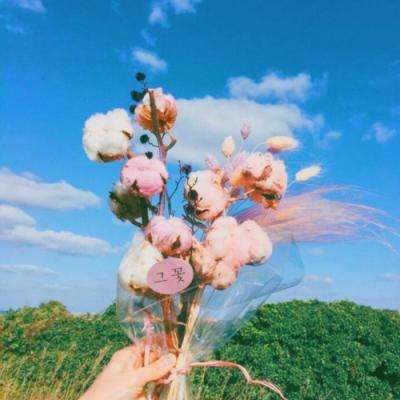 万博ManBetX手机注册