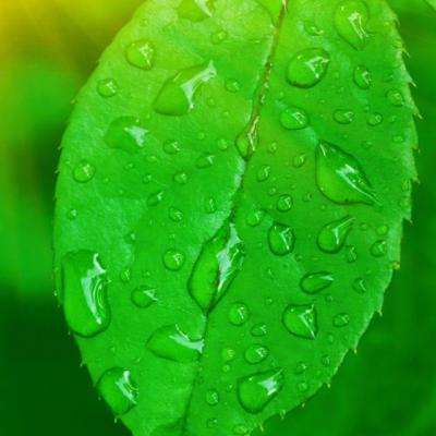 PG·麻将胡了下载手机版