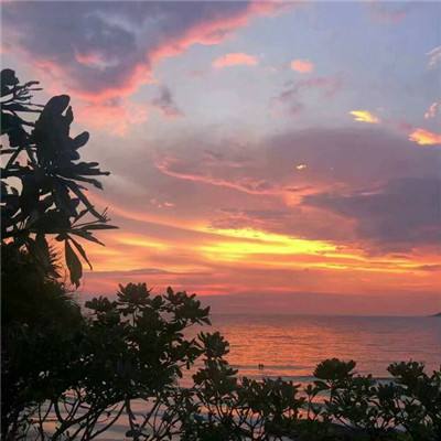 49图库一资料中心app下载